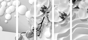 5-részes kép orchidea absztrakt háttéren fekete fehérben