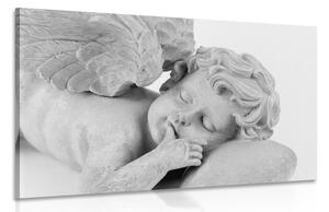 Kép alvó fekete fehér angyalka