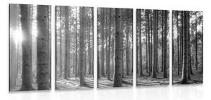 5-részes kép reggel az erdőben fekete fehérben