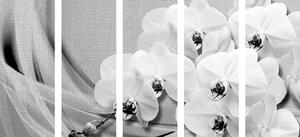 5-részes kép orchidea vásznon fekete fehérben