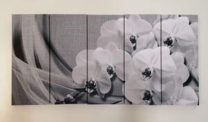 5-részes kép orchidea vásznon fekete fehérben