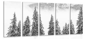 5-részes kép havas fenyőfák