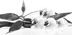 Kép cendélet Zen kövekkel fekete fehérben