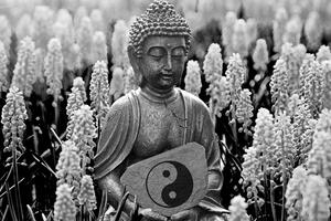 Kép Buddha jing jang szimbólummal fekete fehérben