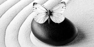Kép Zne kő lepkével fekete fehérben