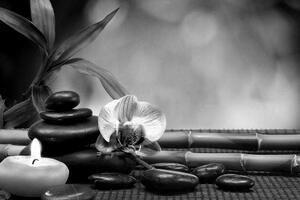 Kép Feng Shui harmónia fekete fehérben