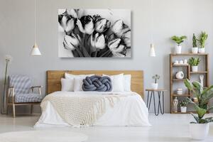 Kép tavaszi tulipánok fekete fehérben