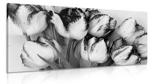 Kép tulipánok tavaszi lehelettel fekete fehérben