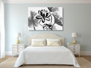 Kép akvarell lótusz virág fekete fehérben