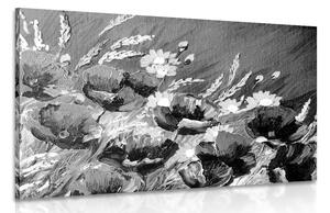 Kép festett pipacsok fekete fehérben