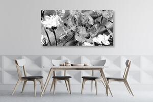 Kép virág festmény fekete fehérben