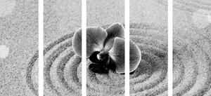 5-részes kép Zen homok kert orchideával fekete fehérben