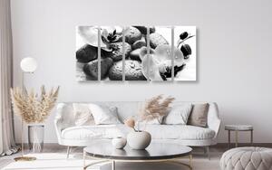 5-részes kép orchidea és kövek összhatása fekete fehérben