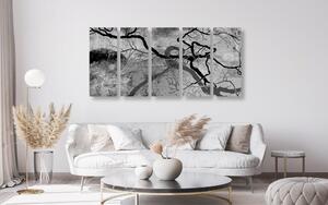5-részes kép szürreális fák fekete fehérben
