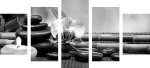5-részes kép Feng Shui csendélet fekete fehérben