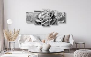 5-részes kép elegáns vintage rózsa fekete fehérben
