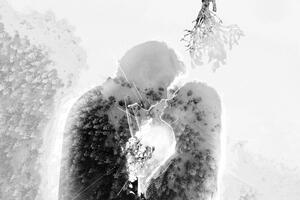 Kép szerelmes pár fagyöngy alatt fekete-fehér változatban