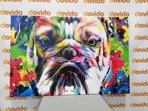 Kép pop art francia bulldog