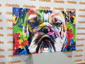 Kép pop art francia bulldog