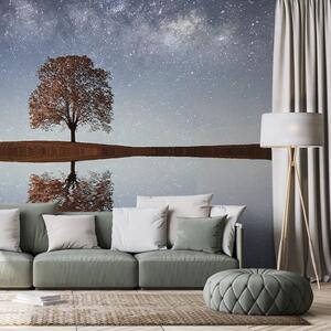 Öntapadó fotótapéta csillagos ég egy magányos fa felett
