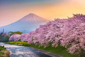 Fotótapéta csodás Japán ország