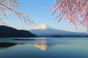 Fotótapéta kilátás a Fuji hegyre