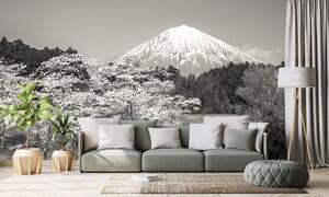 Fotótapéta Fuji hegy fekete fehérben