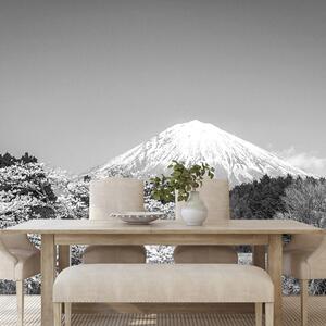 Öntapadó fotótapéta Fuji hegy fekete fehérben