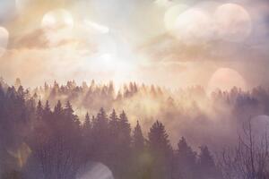 Öntapadó fotótapéta köd az erdő felett
