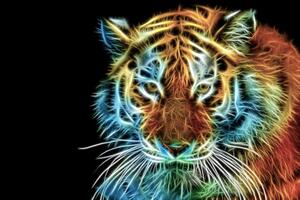 Öntapadó tapéta tigris fej absztrakt kivitelben