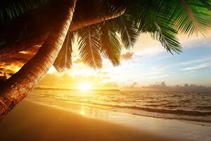 Fotótapéta napkelte a karibi tengerparton