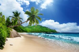 Fotótapéta gyönyörű strand a Seychelle-szigeteken