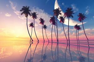 Tapéta naplemente trópusi fálmafák felett