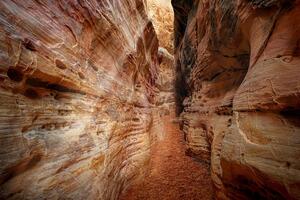 Fotótapéta ösvény a Grand Canyonon keresztül