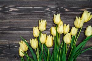 Fotótapéta sárga tulipán fa háttéren
