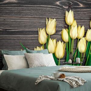 Fotótapéta sárga tulipán fa háttéren - 150x100