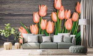 Öntapadó fotótapéta narancssárga tulipánok fa háttéren