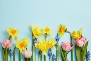Fotótapéta tavaszi virág kompozíció