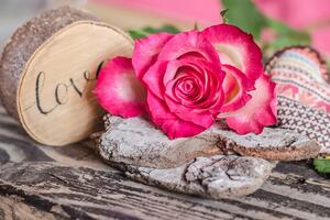 Fotótapéta Love rózsa