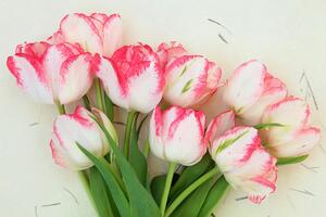 Öntapadó fotótapéta tavaszi tulipánok