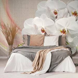 Tapéta fehér orchidea vásznon