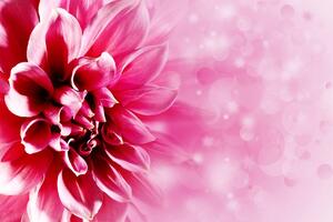 Öntapadó tapéta rózsaszín virág
