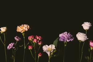Fotótapéta elegáns virágok fekete háttéren