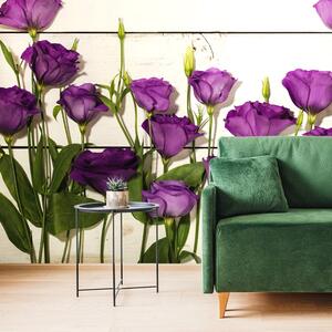Öntapadó fotótapéta csodás lila virágok