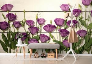 Fotótapéta csodás lila virágok