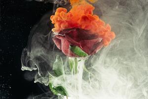 Öntapadó tapéta rózsa absztrakt elemekkel