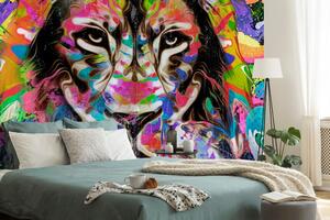 Tapéta oroszlán fej színes változatban - 150x100