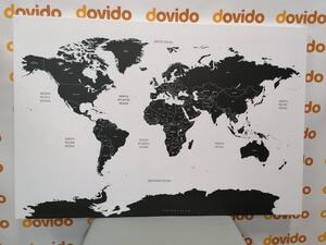 Kép világ térkép egyes államokkal szürke színben - 60x40