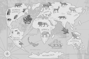 Parafakép fekete fehér világ térkép állatokkal
