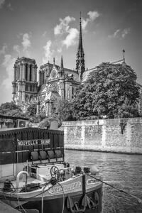 Művészeti fotózás PARIS Cathedral Notre-Dame | monochrome, Melanie Viola, (26.7 x 40 cm)